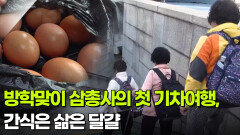  방학맞이 삼총사의 첫 기차여행, 간식은 삶은 달걀 | KBS 260217 방송 