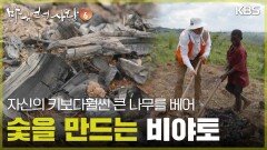 숯을 만들어 파는 12살 비야토 [바다 건너 사랑 6] | KBS 260628 방송 