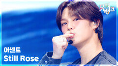 Still Rose - 어센트(ASC2NT) | KBS 260227 방송 