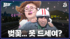 [풀버전] 수연아 벚꽃놀이하게 달려~~~ ‘달려‘ | KBS 260412 방송 