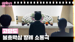 [신작이 좋다] 고당도 | KBS 251115 방송 