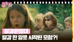  [달콤 살벌한 강희씨네] 달걀원정대 | KBS 260328 방송 