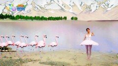 [온택트 동물원] 홍학에게 발레를 배워보자! | KBS 220125 방송