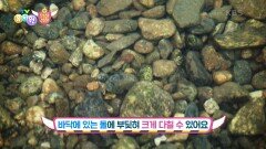 [삐뽀삐뽀 안전경찰] 다이빙 금지! 바닥에 있는 돌에 꽈당! 할 수 있어요ㅠㅠ | KBS 220705 방송