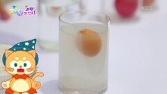 [팡팡! 과학 마법사] 소금물에 달걀 띄우기 성공! 실험의 숨은 비밀은 부력! | KBS 230320 방송