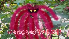 [위기탈출 꾹] 꽃이 있는 곳에 보물이 있다?! 보물 찾다가 꽃가루 괴물을 만난 꾹! | KBS 240424 방송