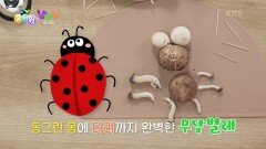 [샘과 벤틀리의 냠냠냠] 버섯으로 만들어요! 🦔 무슨 맛이 날까️ | KBS 240606 방송