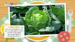 [샘과 벤틀리의 냠냠냠] 벤틀리의 관찰 일기! 커다랗고 통통한 배추! | KBS 241031 방송 