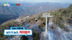 [꾹이랑 부릉부릉 씽씽] 높이 더 높이, 케이블카 | KBS 250305 방송 