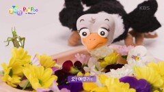 [PooPoo in Nature] 세상의 모든 똥! | KBS 250305 방송 