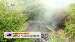 [왜요왜요 만두와 세계여행] 불꽃섬의 비밀, 뉴질랜드! | KBS 251113 방송 