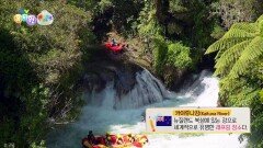[왜요왜요 만두와 세계여행] 세계적으로 유명한 래프팅 장소, 카이투나강 | KBS 251113 방송 