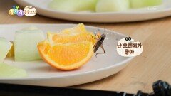 [에그박사의 동물도감] 메뚜기 대발생! 무슨 일이 일어나는걸까?! | KBS 251202 방송 