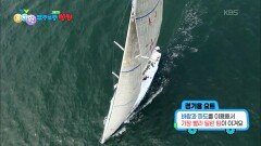 [꾹이랑 부릉부릉 씽씽] 돛과 바람의 힘으로 달리는 요트! | KBS 251210 방송 