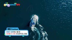 [꾹이랑 부릉부릉 씽씽] 요트 위에서 조심해야 하는 것들은 무엇일까! | KBS 251210 방송 