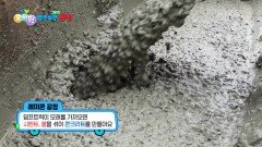[꾹이랑 부릉부릉 씽씽] 레미콘 공장에서는 무엇을 할까? | KBS 251217 방송 