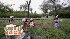 [에그박사의 동물도감] 춤으로 만나는 습지 생물! | KBS 251223 방송 