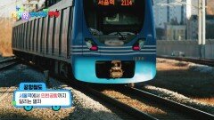 [꾹이랑 부릉부릉 씽씽] 비행기를 만나러 가요! 공항철도 | KBS 251224 방송 