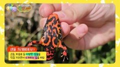 [바쁘다 바빠 옐.만.세] 신비한 생물의 세계를 소개하는 생물 크리에이터! | KBS 260325 방송 