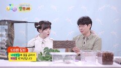 [바쁘다 바빠 옐.만.세] 도마뱀 집을 꾸며볼까요?🦎 | KBS 260325 방송 