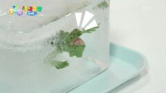 [색색깔깔 놀이터] 얼음 속에 초록색 마법의 재료가 있다고?! | KBS 260507 방송 