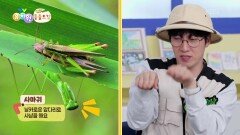 [에그박사의 동물도감] 이름 보고 육식 & 초식 생물 맞히기! | KBS 260714 방송 