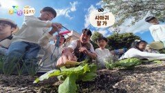 [에그박사의 동물도감] 학교에 있는 생물 친구들 만나보세요! | KBS 260714 방송 