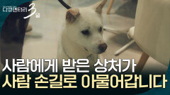 사람에게 받은 상처가 사람의 손길로 아물어 갑니다 [다큐멘터리 3일] | KBS 260518 방송 