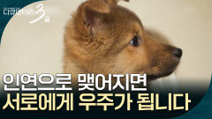한 번 버려진 생명도 인연으로 맺어지면 서로에게 우주가 됩니다 [다큐멘터리 3일] | KBS 260518 방송 