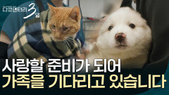 사랑할 준비를 마친 아이들이 가족을 기다리고 있습니다 [다큐멘터리 3일] | KBS 260518 방송 