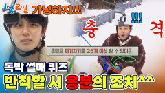 에이스들의 고독한 썰매 퀴즈! 버려진 거 아닙니다... | KBS 250112 방송 