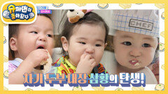 [심형탁네] 두부 대장 3인방! 정우 형, 서빈 누나를 이은 New 두부 러버 하루 | KBS 251029 방송 