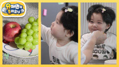 [심형탁네]하루가 과일을 먹는 법! 그냥 맛있게 먹는다? 먹방 제대로 보여주는 하루 | KBS 251210 방송 