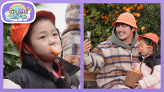 [KCM네] 본격 제주 투어! 오늘은 서연 공주가 귤 따러 왔지요~ | KBS 260211 방송 