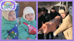 원주 마당에 100kg 통돼지 등장?! 시우 두 돌 맞이 생일 파티 준비 | KBS 260225 방송 