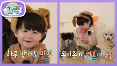 하루와 강아지는 필승 조합! 하루 형탁 아빠와 애견 카페 나들이 왔심 | KBS 260325 방송 