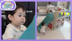 [심형탁네] 떡뻥아 조금만 기다려~ 하루가 간다! 하루의 떡뻥 일병 구하기 프로젝트 | KBS 260701 방송 