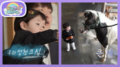 [심형탁네] 처음 보는 말 용감하게 만지는 16개월 아기 실존 (Ft. 제니&덕정) | KBS 260701 방송 