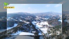 허영호와 함께하는 명산 도전기 : 울릉도의 최고봉 성인봉! | KBS 230119 방송