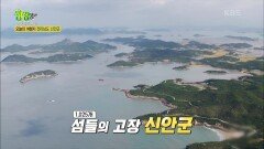 수완 좋은 여행 : 천사섬 전라남도 신안군 | KBS 230524 방송