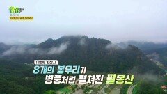 함산합시다 : 낮은 산이 맵다?! 짜릿함 가득한 팔봉산 | KBS 230530 방송