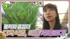뭉쳐야 즐겁다 : 다육식물, 이젠 재테크다! | KBS 240718 방송