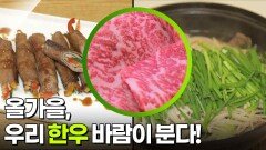 알짜정보통: 올가을, 우리 한우 바람이 분다! | KBS 251023 방송 