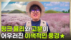 미스터 Lee의 사진 한 컷, 대한민국: 454번째 미션! 전라남도 나주시 편 | KBS 251024 방송 