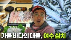 수확의 달인: 가을 바다의 대물, 여수 삼치 | KBS 251031 방송 
