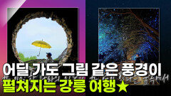 장PD의 AI여행기: AI추천! 인생 사진 찾아 떠난 강릉 여행! | KBS 251103 방송 