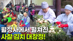 新VJ특공대: 천 년 고찰 월정사 김장하는 날 | KBS 251105 방송 