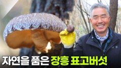 수확의 달인: 자연을 품은 장흥 표고버섯 | KBS 251118 방송 