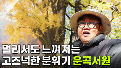 미스터 Lee의 사진 한 컷, 대한민국: 457번째 미션, 경상북도 경주시 | KBS 251125 방송 