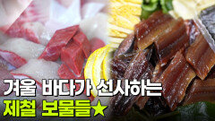 新VJ특공대: 겨울 바다에 돈바람이?! | KBS 251209 방송 